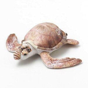 ʂ T zk E~K l` h[ nCAG   q 킢  ӂӂ } r[` C hawaii honu Mtg v[g K^ bL[ _ inCzkh