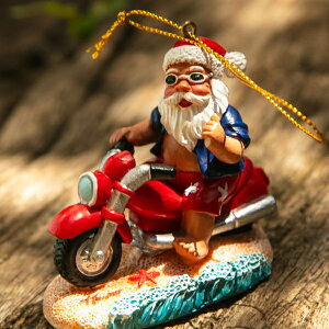 nC NX}X I[ig T^ T^N[X Xmas   u nCAG CeA  ObY A oCN 킢  썑 An aloha hawaii AJ v