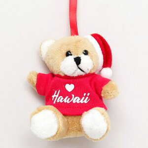 nC NX}X I[ig N} F ʂ T^ T^N[X Xmas   nCAG CeA A  ObY  h[ q 킢  hawaii A