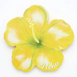 nCA R[X^[ nC G  Lb` CeA u  hawaii 킢  yY Mtg v[g u[ O[ IW sN CG[ bh iJ[n