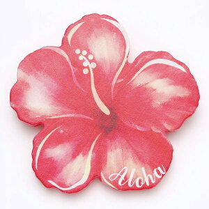 nCA R[X^[ nC G  Lb` CeA u  hawaii 킢  yY Mtg v[g u[ O[ IW sN CG[ bh iJ[n