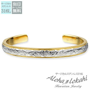 nCAWG[ oO T[WJXeX  vA XN[ ςȂ KтȂ AnJq uh yaLOz NX}X v[g