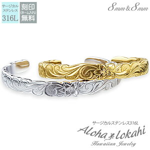 y2Zbgz nCAWG[ yAoO T[WJXeX oO  vA XN[ Vo[J[ ςȂ KтȂ AnJq uh yaL