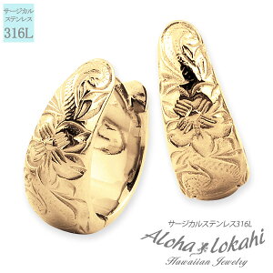 nCAWG[ sAX t[vsAX ܂ XeX  ^ T[WJXeX vA AM[Ή AnJq uh yaLOz NX}X v