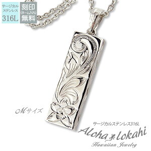 nCAWG[ lbNX T[WJXeX  vA XN[ Vo[J[ wr[EGCg TChJ[rO ςȂ KтȂ AnJq uh ya