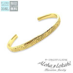 nCAWG[ oO T[WJXeX  vA XN[ AM[Ή ςȂ KтȂ AnJq uh yaLOz NX}X v[