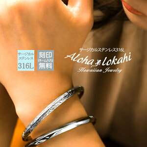 nCAWG[ oO m[} MTCY T[WJXeX  vA XN[ Vo[J[ ςȂ KтȂ AnJq uh yaLOz N