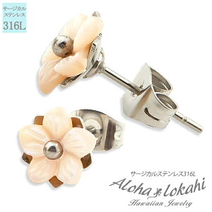 nCAWG[ sAX X^bhsAX VF L T[WJXeX VF vA sNVF  Ԃ AM[Ή AnJq uh yaLO