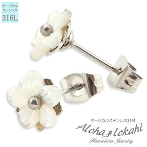 nCAWG[ sAX X^bhsAX VF L T[WJXeX VF zCgVF vA  Ԃ AM[Ή AnJq uh yaL