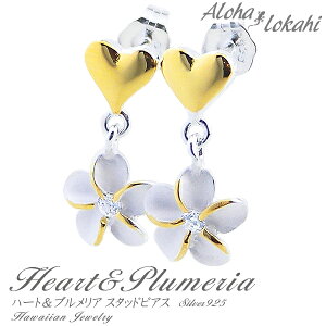 nCAWG[ sAX Vo[925 vA n[g CG[ X^bh fB[X AnJq uh yaLOz NX}X v[g