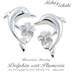 nCAWG[ sAX Vo[925 htB CJ vA X^bh fB[X AnJq uh yaLOz NX}X v[g