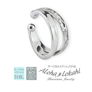 nCAWG[ C[Jt CJt Ԃ 2A ۂ T[WJXeX t[v AM[Ή l Vv ANZT[ AnJq uh yaLOz