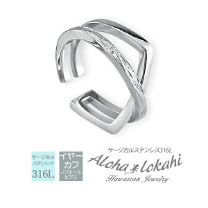 nCAWG[ C[Jt CJt Ԃ 2A NX AO sp T[WJXeX t[v AM[Ή l Vv ANZT[ AnJq uh ya