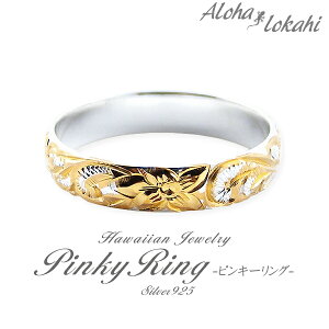 nCAWG[ sL[O Vo[925 fB[X O w  XN[ vA Vo[ANZT[  AnJq uh yaLOz NX}X v