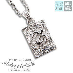 nCAWG[ lbNX XeX  T[WJXeX zk XN[ Vo[J[ AM[Ή y_g ςȂ KтȂ AnJq uh 