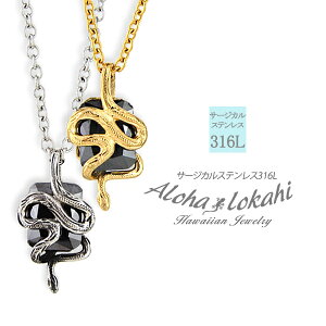 y2Zbgz nCAWG[ yAlbNX T[WJXeX Xl[N ւ  ^̂ ubN  XNGA lp AM[Ή nW Vv lC 