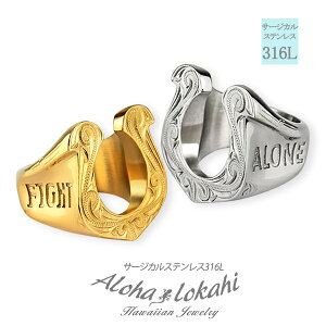 y2Zbgz nCAWG[ yAO bL[`[t n z[XV[ K^̂   VOlbgO T[WJXeX w AM[Ή 