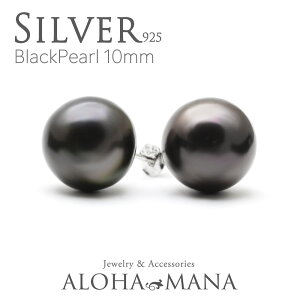 nCAWG[ sAX ubNp[ ^ Vo[925 Wp[ X^bh sAX p Vo[sAX ANZT[ hawaii bpe2180