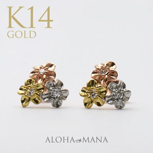 nCAWG[ K14 14 CG[S[h sNS[h zCgS[h CZ L[rbNWRjA sAX  X^bhsAX |XgsAX gvJ[ }`J[ v