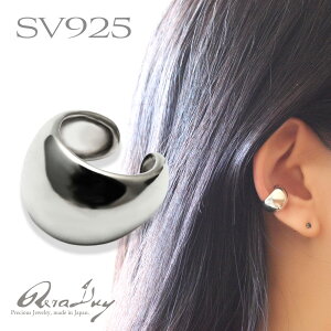 Vo[925 C[Jt Y fB[X CJt C[JtX CO SV silver925 Ԃ Vv t[v  j n WG[ lR|X  Mtg v[g lC RERALUy