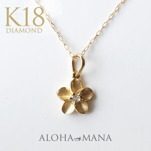 S[hlbNX k18 lbNX nCAWG[ ANZT[ fB[X  (Weliana) K18 CG[S[h vA VR_Ch y_g gbv (t`F[Ȃ) wp