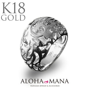 nCAWG[ O w K18 18 zCgS[h I[v[N p_CX }ni wri706g