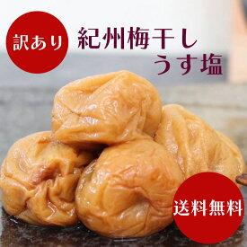 【訳あり】賞味期限間近！送料無料！紀州梅　梅干し　うす塩 10パックセット