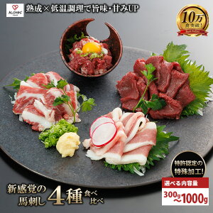 yJXLOő30zn 荇킹 4 300g 500g 1kg 1000g @ Xn ቷ A Ԑg t^GS Jr bP  ĂȒP pݖ ^t ^pbN ALOHAS 