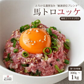 【熟成 低温加工】ユッケ 馬トロユッケ（馬肉のユッケ）旨味たっぷり 熟成馬肉を細かくカット 【 専用タレ付 】 200g 300g 500g 1000g 新鮮 真空小分けパック 人気 赤身 馬肉 専門店 ALOHAS 阿蘇 送料無料