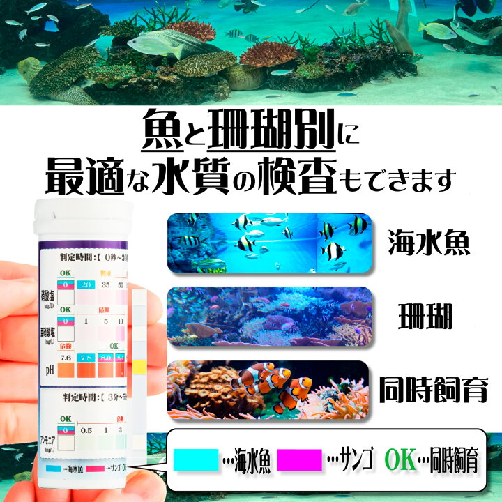 楽天市場】【ALOHI】海水水槽 水質検査キット4in1 アンモニアplus（30 