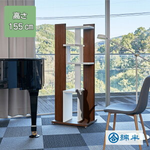 [5]ȔvCx[guh _CeALbg^[