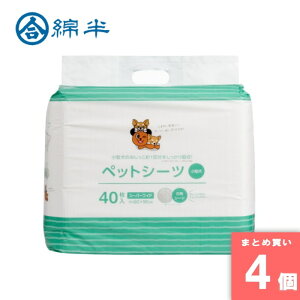 ȔvCx[guh [10][܂Ƃߔ]y4ZbgzybgV[c X[p[Ch 40 [4589458472899]