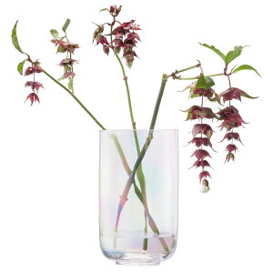 LSA Pearl Lantern & Vase G1736-18-401 p[ H18.5cm LPE36 // GGXG[ t[x[X Lhz_[ Ԋ ԕr