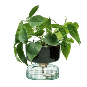 LSA CANOPY �L���m�s�[ Self Water Planter �v�����^�[ G1579-13-161 LCQ15 / �G���G�X�G�[ �Ԋ� �ԕr �t�����[�x�[�X