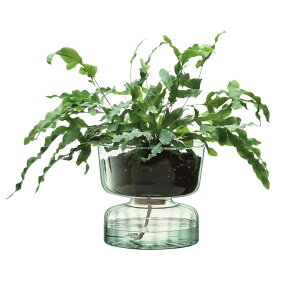 LSA CANOPY �L���m�s�[ Self Water Planter �v�����^�[ G1579-22-161 LCQ16 / �G���G�X�G�[ �Ԋ� �ԕr �t�����[�x�[�X