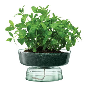 LSA CANOPY �L���m�s�[ Self Water Planter �v�����^�[ G1579-15-161 LCQ17 / �G���G�X�G�[ �Ԋ� �ԕr �t�����[�x�[�X