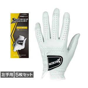�X���N�\�� �S���t�O���[�u �� �O���[�u 5���Z�b�g (GGGS027) �����Y SRIXON