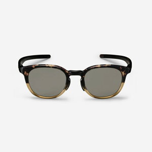 �A�C���H�� SCHILLER(50) BRDMH-BK-PL-GRY2 (SCHILLER50) �S���t �T���O���X �Ό� �S���t5 Eyevol