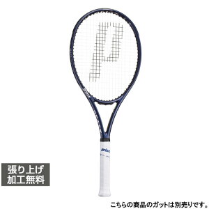 10/18 ���聚���I�ōő�100��P�o�b�N �v�����X �������K�i BEAST 100 (300g) �r�[�X�g100 27 7TJ273 �d���e�j�X �����胉�P�b�g : �l�C�r�[ Prince