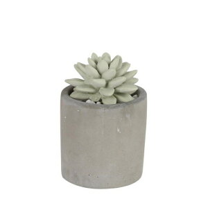 11/5聚Iōő100PobN _g gWF tOX fBt[U[ WATER LILY (G875-959) Lv  DULTON