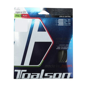 gA\ HYBRID SPOON 02 POLY×MULTI 7430225K dejX XgO TOALSON 2303_ms