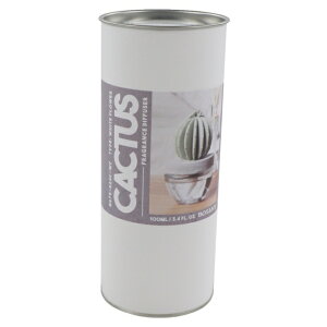 ő10OFFN[| y9/18`9/25z _g CACTUS FRAGRANCE DIFFUSER C W.FLOWER (G675-824) G fBt[U[ DULTON