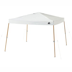 SX \[[ubN QZbg^[v270 71661031 Lv ^[veg ANV ^b` ^ TVF[h LOGOS 2303_mo