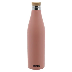 11/15聚Iōő100PobN VO fBA 0.5L VCsN 50326  SIGG