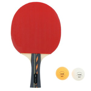 11/1聚Iōő100PobN eBS TR-2PG3061 싅 Pbg W[p TIGORA