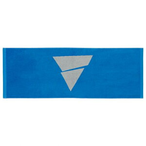 1/10���聚���I�ōő�100��P�o�b�N ���B�N�^�X �e�j�X �^�I�� V-TW211 044527 : �u���[×�O���[ VICTAS