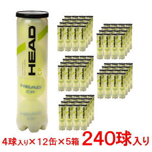 wbh CP V[s[ 577094 4×12×5(240)  ܂Ƃߔ dejX{[ HEAD