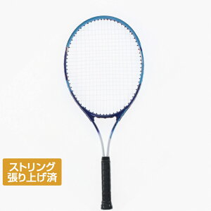 eBS Ki Kp ejXPbg FENCERT27RS dejX オ胉Pbg : u[×zCg TIGORA