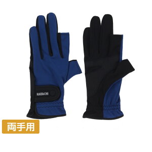 n^` Xgb` BH8080 BLML Y fB[X OEhSt O[u HATACHI