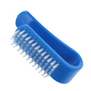 11/1聚Iōő100PobN eBS PP iC 싅 nPB TR-2PE3000uV 싅 o[ TIGORA